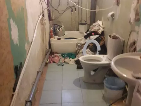 Немного свежего трэша в новостную ленту